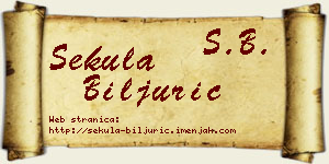 Sekula Biljurić vizit kartica